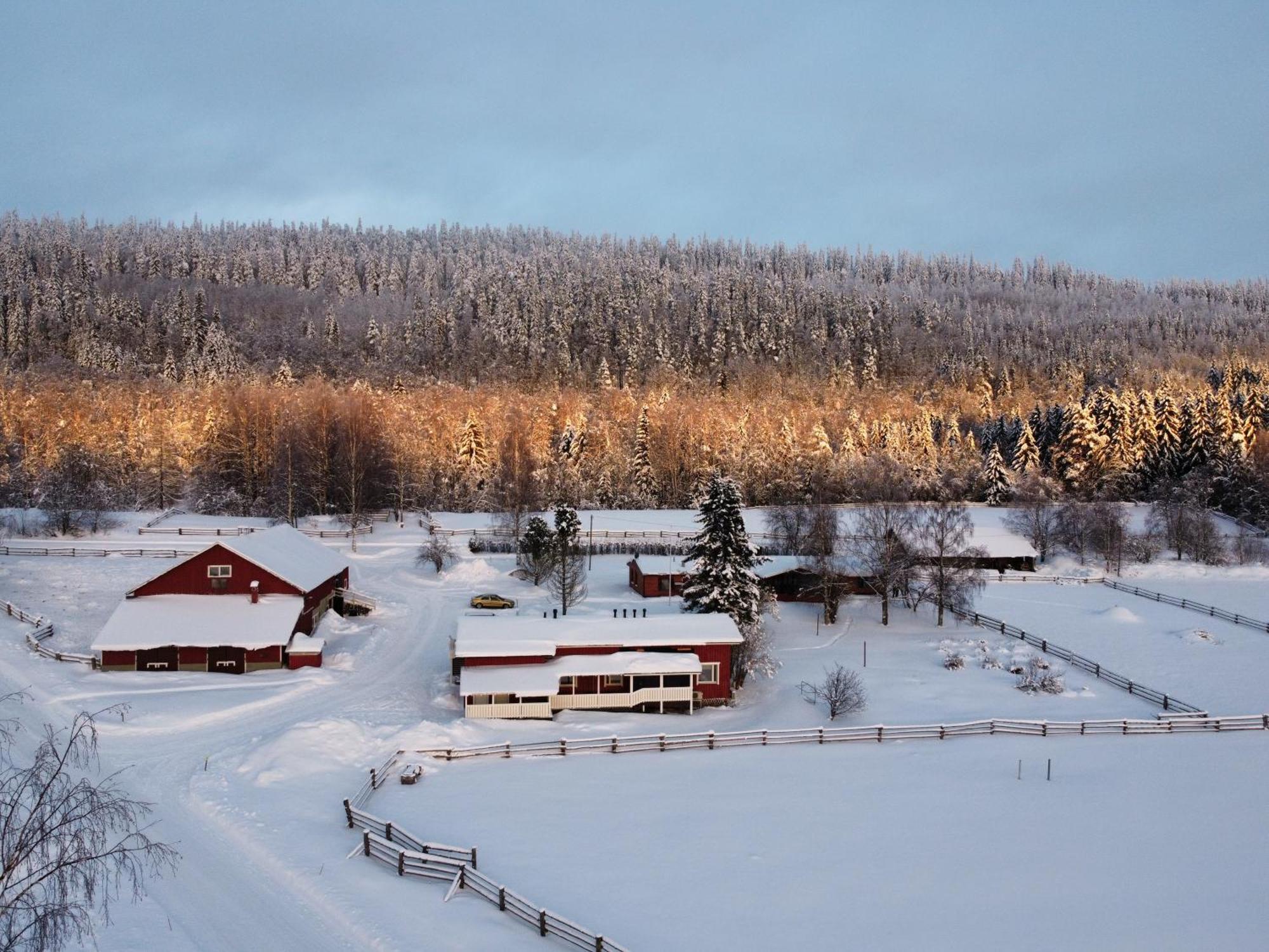 Paimentupa Villa Kolinkylä Eksteriør billede