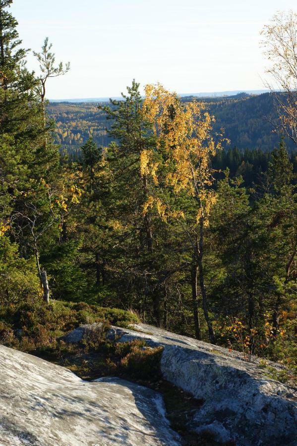 Paimentupa Villa Kolinkylä Eksteriør billede